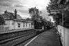 DSC_4971  70000 Yorton bw 200719.JPG
