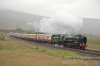 Britannia-(27)-fbook.jpg