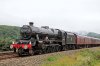 Leander-(15)-casg.jpg