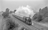 Elford 280719 bw np.jpg