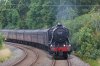 48151 1.jpg