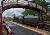35018-On The Crossover-Kirkby Stephen-30 July 2019-©PAV4.jpg