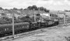 GOE_2019_00055_mono.jpg