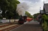 IMG_5033LR.jpg