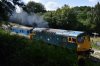 27001 73140 Friezland Wood 1.8.2019.jpg