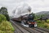 DSC_16963.jpg