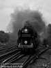 35028 ACE 2019.001.jpg