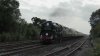 S1460014.JPG
