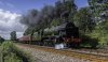 Scots Guardsman LTR 1b.jpg