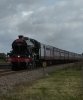 IMG_20190818_095806.jpg