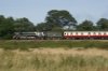 DSC03383 Solihull Meadow.jpg