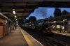 61306 Whitton 3.9.2019.jpg