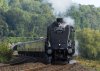 torbay_express_01.jpg