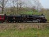 75069.jpg