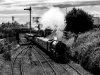 DSC_5253 60163 Arbroath bw 070919.JPG