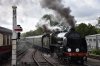 847 Newick Siding 30.8.2019.jpg