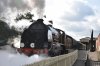 847 Sheffield Park 30.8.2019.jpg