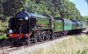 30925-5 Bishops Sutton bridge, Arlesford 17092019.jpg