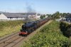 DSC_17330.jpg