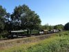 DSC04626.jpg