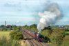 DSC_3836 lr.jpg