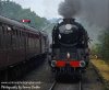 svr autumn 2019.017.jpg