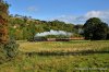 _DSC6585.JPG