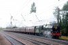 46115-01g.jpg