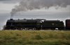 DSC_4034 (2).JPG