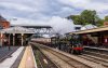 DSC_5463 70000 Wellington (Shropshire) 031019.JPG