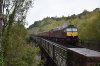 47237 Riddlesdown Viaduct 4.10.2019.jpg