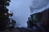 61306 Sheffield Park 5.10.2019.jpg