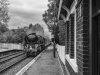 DSC_5595 25018 Yorton bw 101019.JPG