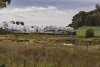 DSC_5604 7029 Whitmore 121019.JPG