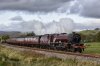 DSC_17604.jpg