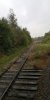 IMG_20191006_133230.jpg