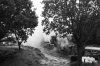 IMG_3253BW.jpg