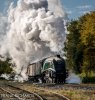 DSC_3655HR-0.jpg