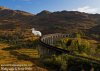 scotland 2019.002.jpg
