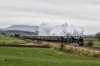 DSC_17888.jpg