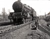 48725636188_91de6c7242_c.jpg