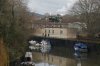 DSC04516.jpg