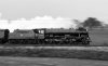 _DSC0950-Edit.jpg