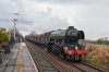 DSC_18269.jpg