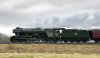 _DSC1002-Edit.jpg