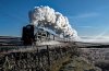 Shap 01 December 2019-©PAV4.jpg