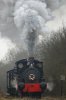 DSC07456.jpg