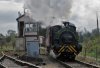 Eustace at Pitsford Sidings - Tom Woolley (cropped).JPG