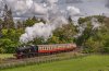 DSC_0066.jpg