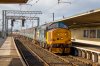 deltic 37.jpg